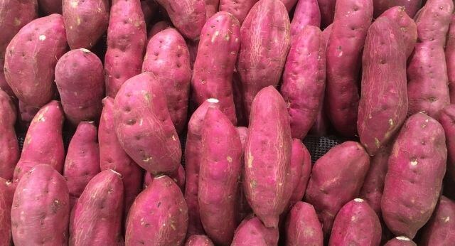 Makanan Ini Bisa Meningkatkan Kesehatan Vagina dan Organ Reproduksi